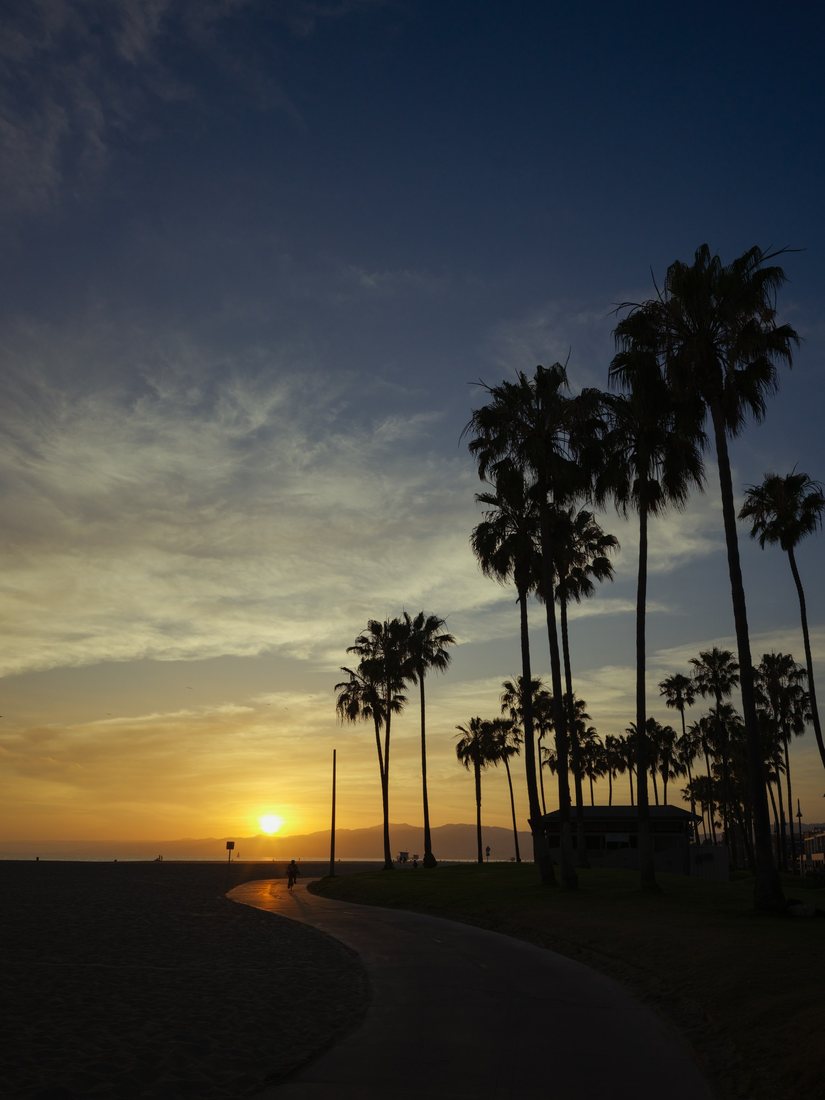 Palm trees silhouetted beside a beach path at sunset.