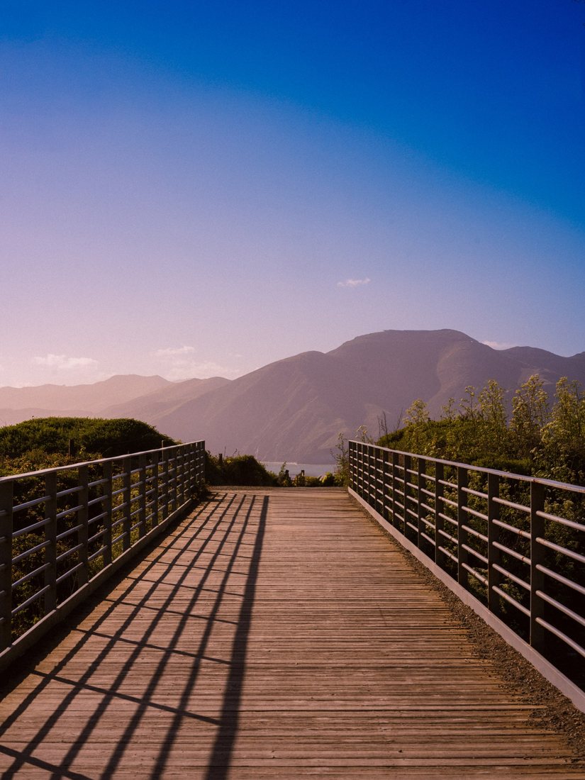 A wooden walkway leads toward distant mountains in soft light.