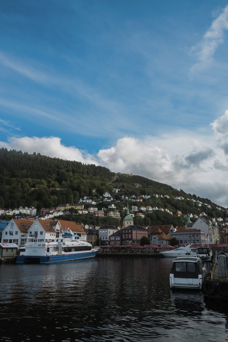Boats sit beside colourful waterfront buildings beneath a forested hill.